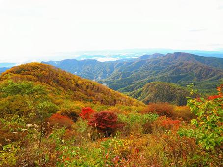 紅葉(浅間隠山) 紅葉(浅間隠山) 紅葉,もみじ,秋の写真素材