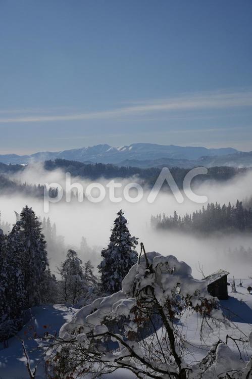 241230十日町市蒲生の棚田 新潟県,十日町市,越後の写真素材