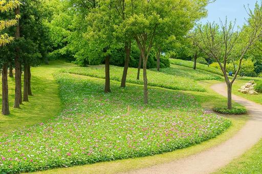 春の花咲く小道(写真をAIにて調整) 春の花咲く小道(写真をAIにて調整) 春の公園,花壇,小道の写真素材