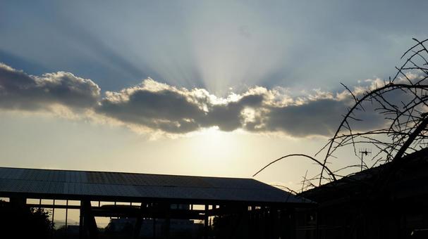 西日 sunset 西日 sunsetの写真