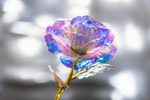キラキラな花 キラキラな花の写真