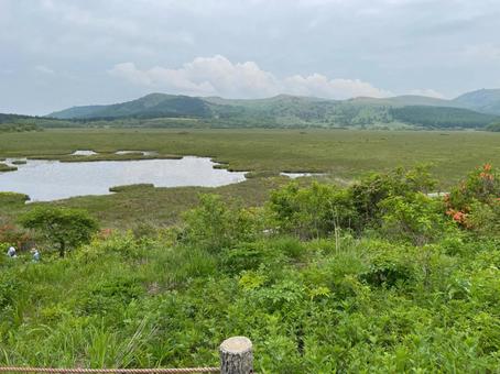 八島ヶ原湿原 八島ヶ原湿原の写真