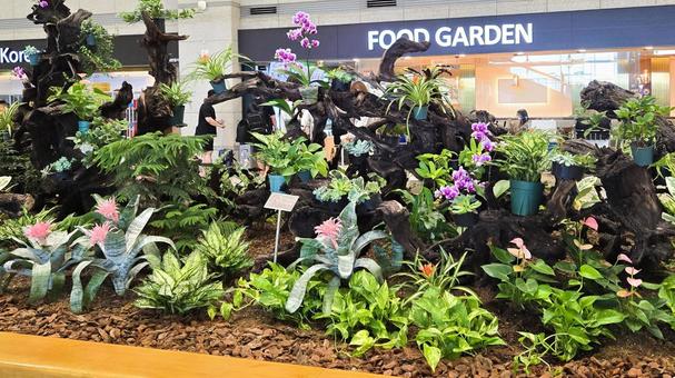 韓国 仁川空港のターミナル風景 仁川国際空港,空港,韓国の写真素材