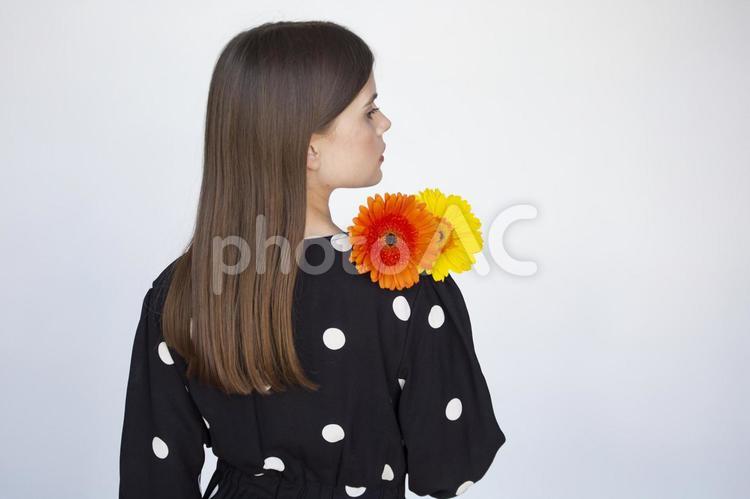 ガーベラを持っている女性の後ろ姿1 女性,ドット,水玉の写真素材