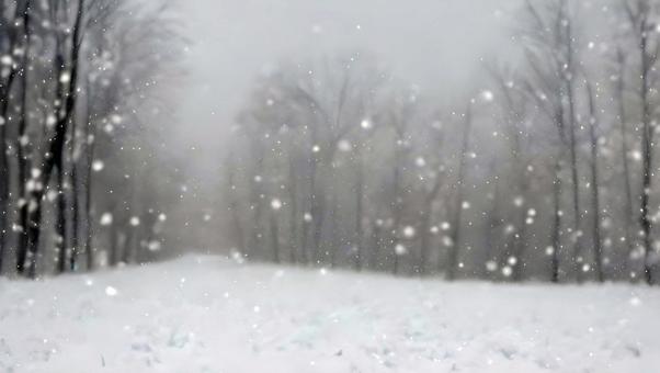 冬の背景 雪景色 風景 冬の背景 雪景色 風景 霧氷,雪原,氷点下の写真素材