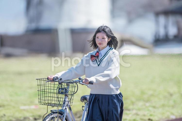 自転車と学生 学生,女子生徒,制服の写真素材