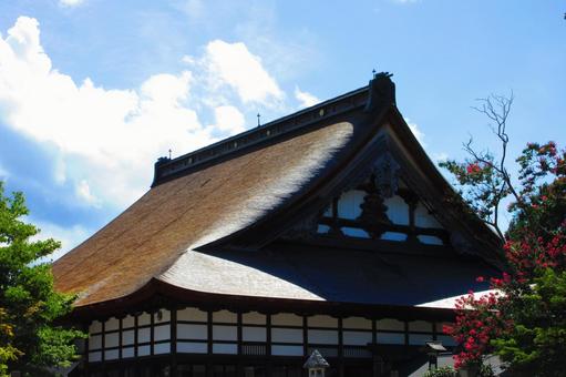 新潟県-浄興寺-本堂とサルスベリ 新潟県-浄興寺-本堂とサルスベリの写真