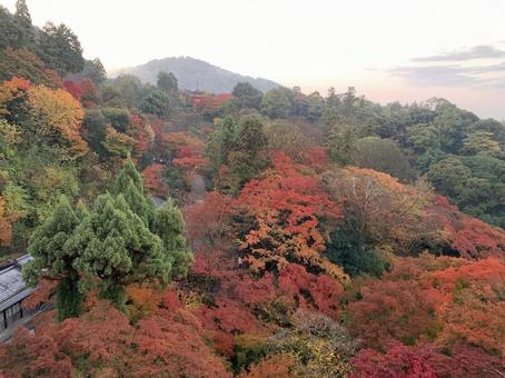 東大寺からの景色 東大寺からの景色の写真
