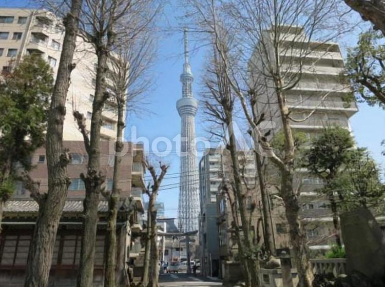 東京都　墨田区の春風景 東京都,墨田区,自然の写真素材