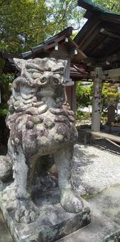猿田彦神社の狛犬 猿田彦神社の狛犬の写真