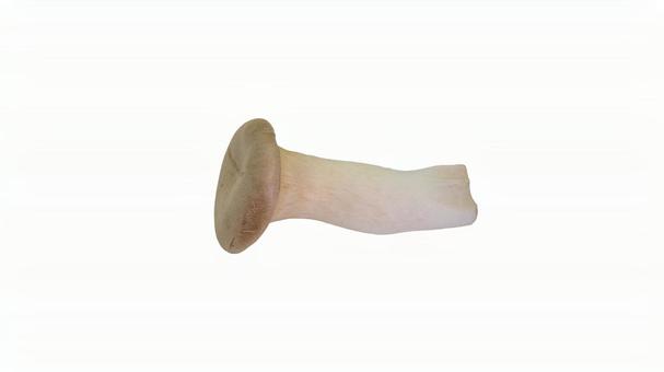 Photo, 새송이 버섯, 버섯, 재료, 