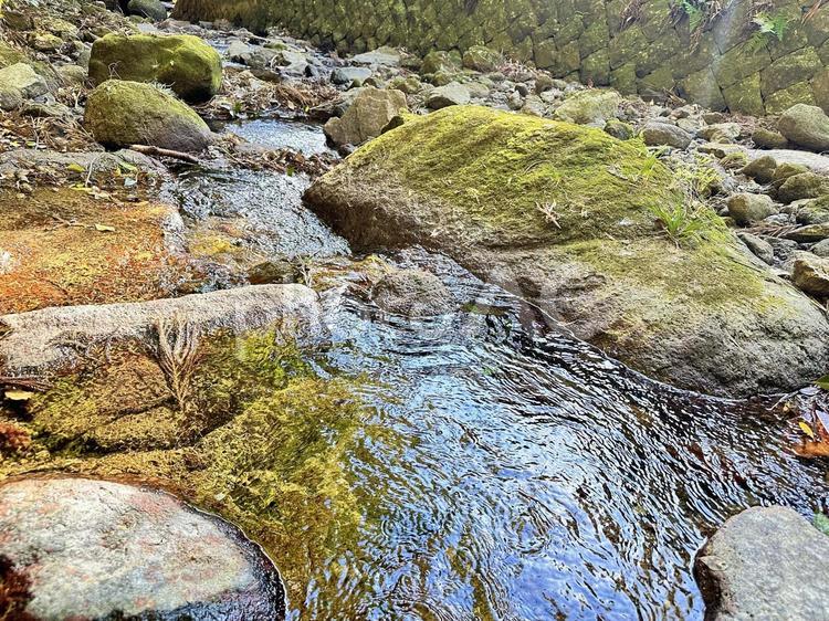 冬の小川　綺麗な小川　自然景観　苔畳 冬の小川,綺麗な小川,自然景観の写真素材