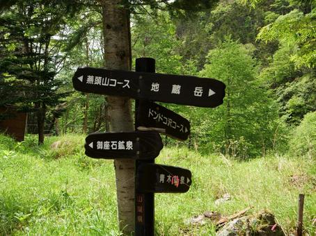 鳳凰三山のドンドコ沢登山道 鳳凰三山のドンドコ沢登山道 鳳凰三山,ドンドコ沢,地蔵ヶ岳の写真素材