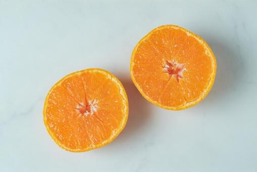 白背景のカットしたミカン みかん,果物,フルーツの写真素材