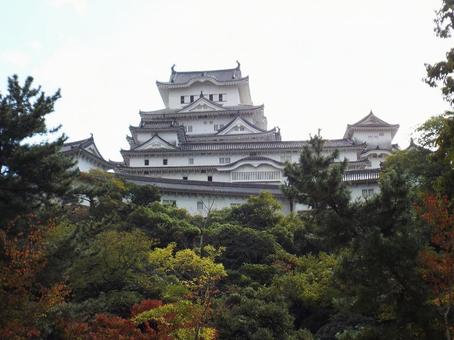 【風景写真】姫路城の風景 【風景写真】姫路城の風景の写真