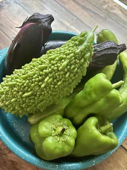 盛った夏野菜 盛った夏野菜の写真