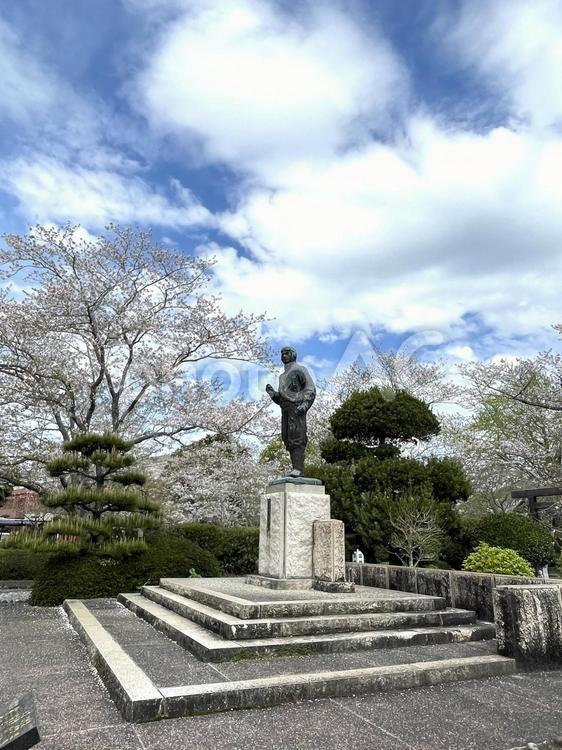 知覧特攻平和会館３ 知覧特攻平和会館,春,桜の写真素材