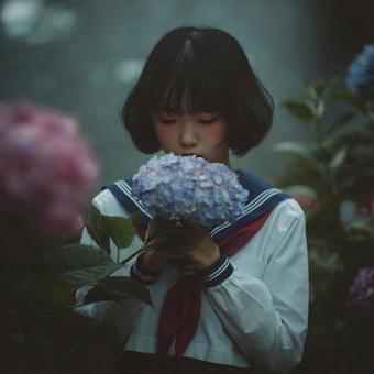 セーラー服の少女と咲き誇るアジサイ セーラー服の少女と咲き誇るアジサイの写真