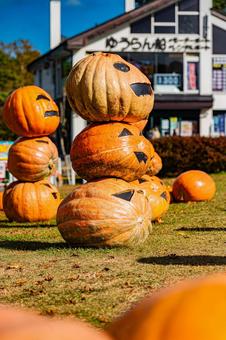 北海道　大沼国定公園　秋の風景 ハロウィン,カボチャ,秋の写真素材