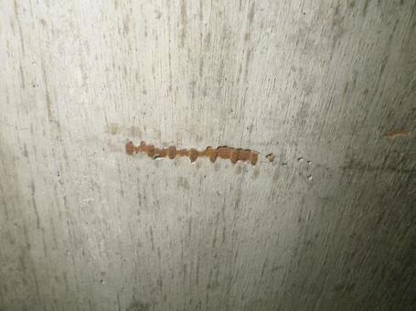 Photo, reinforced concrete structure, insufficient cover, reinforcing bar exposure, 