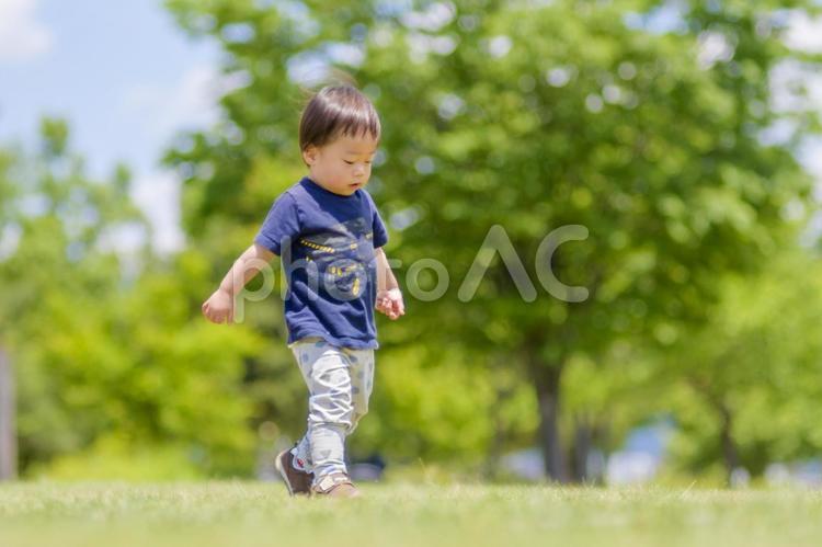 広い公園で遊ぶ小さい男の子 人物,男の子,子どもの写真素材