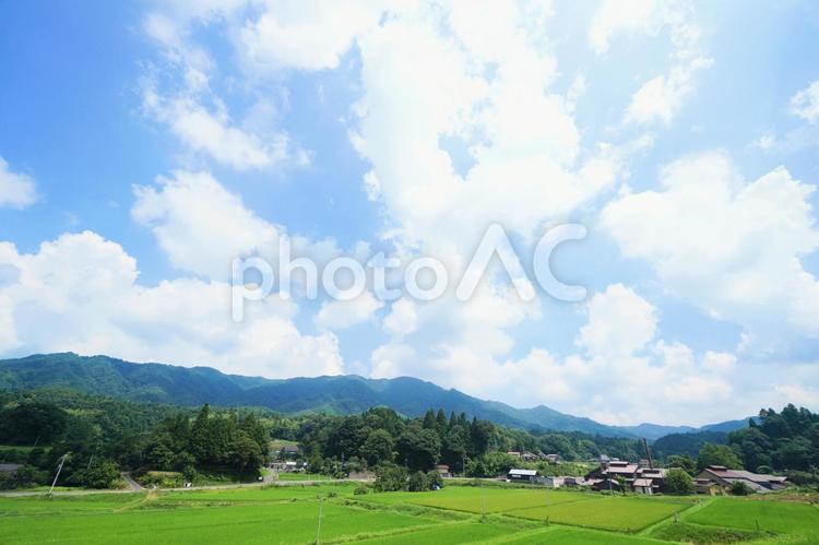島根県奥出雲町の夏の田んぼと日刀保たたら 島根,奥出雲,田んぼの写真素材