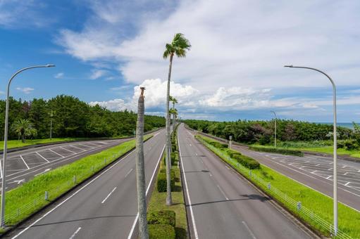 快晴の一ッ葉有料道路 快晴の一ッ葉有料道路 ドライブ,交通,アスファルトの写真素材
