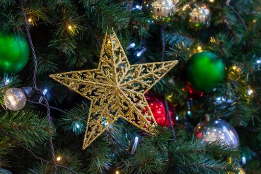 クリスマスツリー クリスマスツリー クリスマスツリー,クリスマス,イヴの写真素材