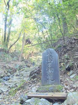 蔦の細道 蔦の細道の写真