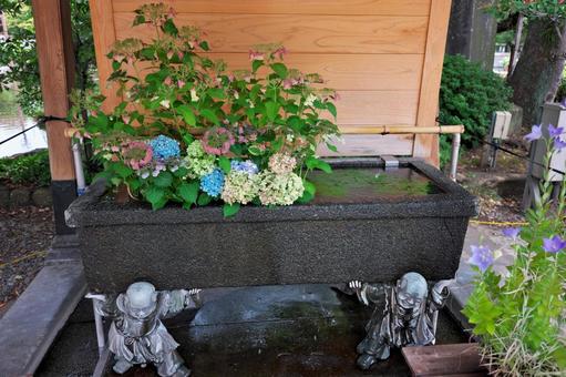 Photo, west new well master, miyoshoji, general temple, 