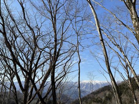 冬山を望む 冬山を望む 冬山,雪山,景色の写真素材