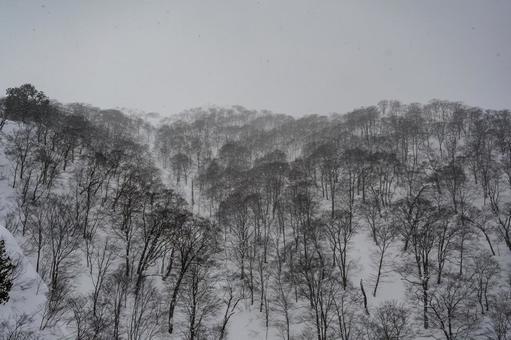 谷川岳ロープウェイから見た景色 谷川岳ロープウェイから見た景色の写真