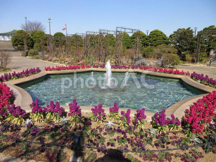 神奈川県-港の見える丘公園-噴水 港の見える丘公園,公園,噴水の写真素材