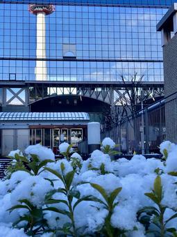 雪の朝の京都駅 雪,冬,京都駅の写真素材