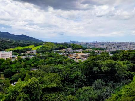 公園 公園の写真