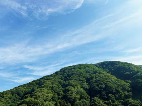 爽やかな空と新緑の木々 爽やかな空と新緑の木々 空,山,新緑の写真素材