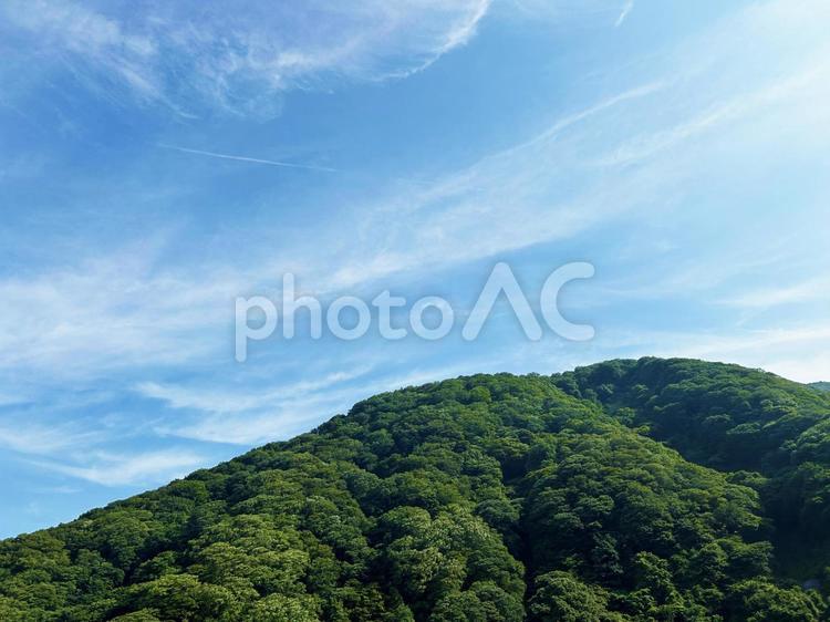 爽やかな空と新緑の木々 空,山,新緑の写真素材
