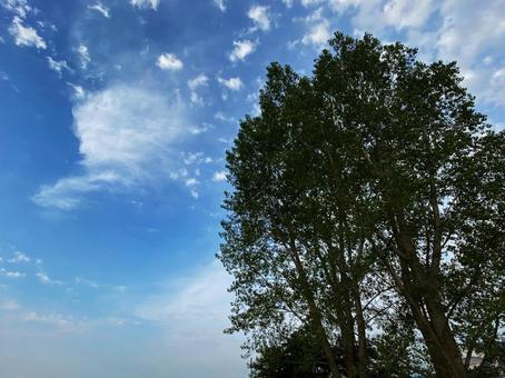 さわやかな秋空 さわやかな秋空の写真
