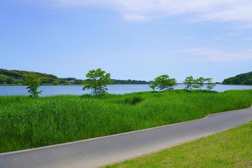 佐鳴湖 遊歩道③ 静岡県浜松市 佐鳴湖 遊歩道③ 静岡県浜松市の写真