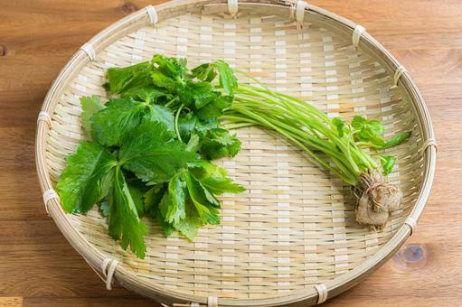 竹ざるに盛られたみつば 竹ざるに盛られたみつば みつば,葉物野菜,野菜の写真素材