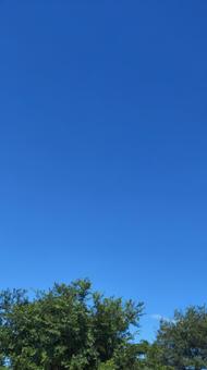 青空005 青空005の写真