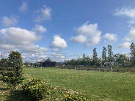 芝生の公園 芝生の公園 春,背景,自然の写真素材