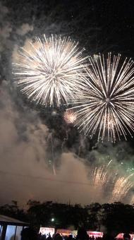 美しい花火。 美しい花火。の写真