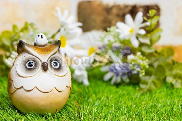 白い花の背景にフクロウ フクロウ,小物,人形の写真素材