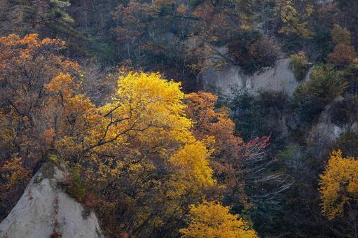 白岩の秋⒁ 秋,黄葉,紅葉の写真素材