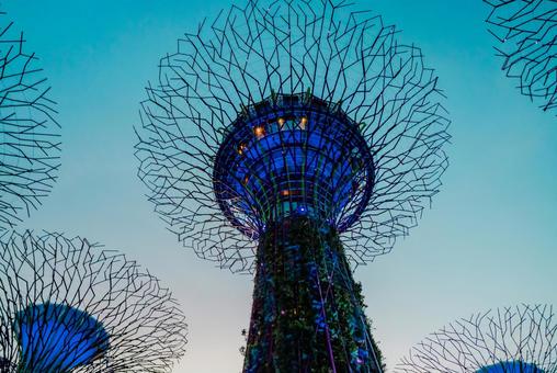 【シンガポール】スーパーツリー ガーデンズバイザベイ,スーパーツリー,植物園の写真素材