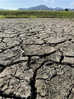 ひび割れた田んぼ（秋）の写真