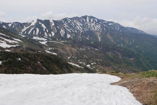 観光新道の雪渓と別山の写真