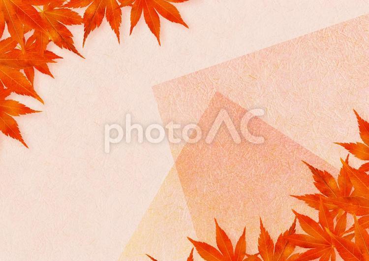 上下に紅葉のある背景　ピンクの重ね和紙 秋,紅葉,和紙の写真素材
