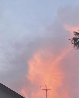 日本の秋の夕暮れ 日本の秋の夕暮れの写真